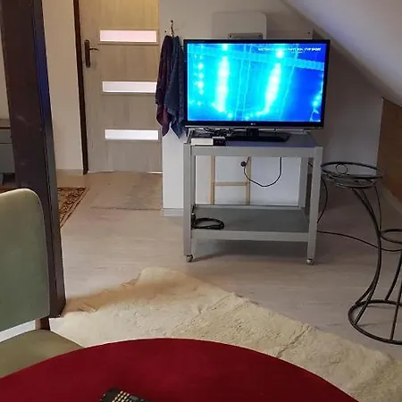 Turystyczny Na Poddaszu Apartament