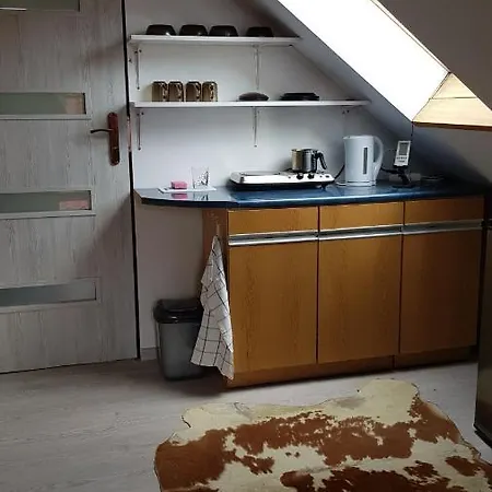 Turystyczny Na Poddaszu Apartment *