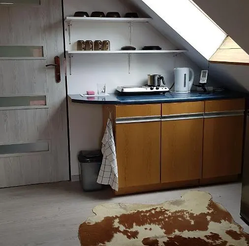 Turystyczny Na Poddaszu Διαμέρισμα *